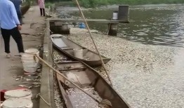 女子爆料自家鱼塘事件视频,揭秘背后惊人真相