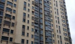 恒通佳苑最新爆料,揭秘神秘项目背后的惊人真相