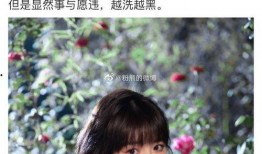 娱乐圈带你吃瓜的是谁啊,揭秘带你吃瓜的神秘人物