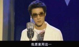 吃瓜网红王力宏视频,揭秘娱乐圈幕后真相